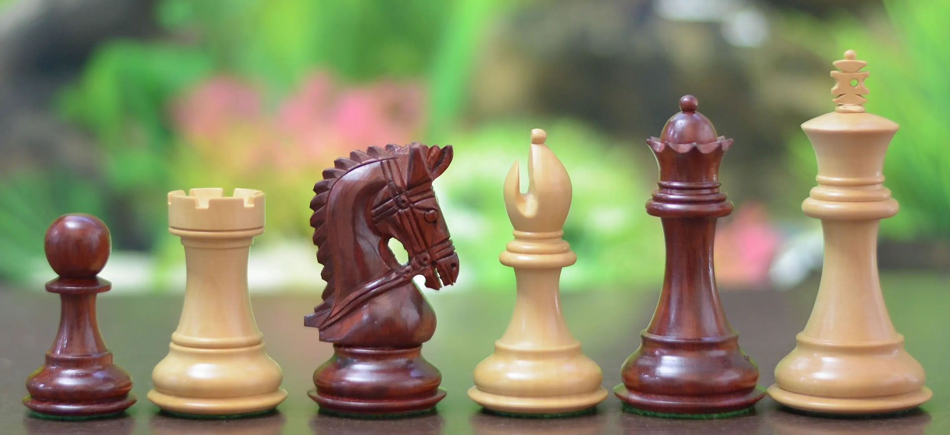 天星國際象棋俱樂部