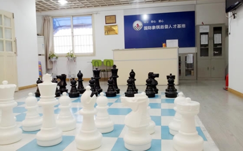 天星國際象棋俱樂部